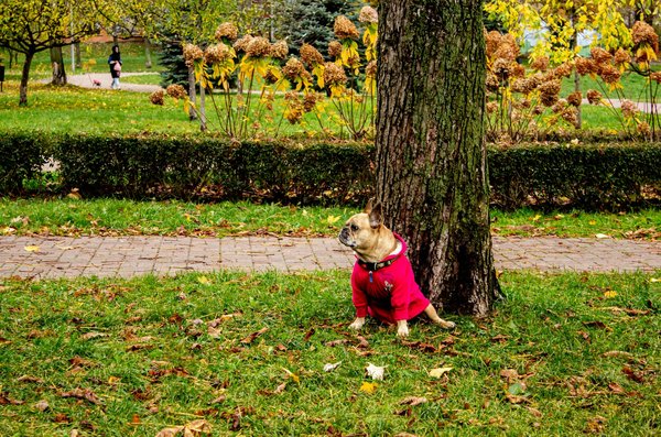 Enhancing Workplace Wellness: The Role of UK Occupational Therapists in Preventing Repetitive Strain Injuries Through Ergonomic Solutions