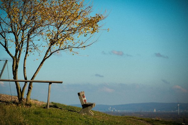 Empowering UK Pharmacists: Strategies for Optimizing Medication Therapy in Chronic Heart Failure Patients